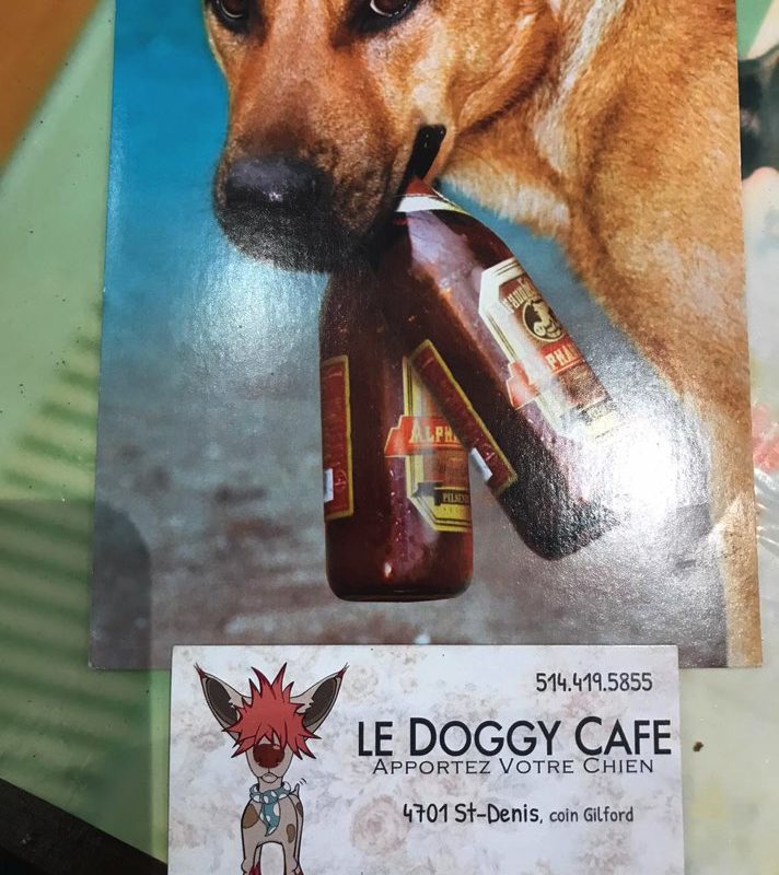 centre canin pension chien idf