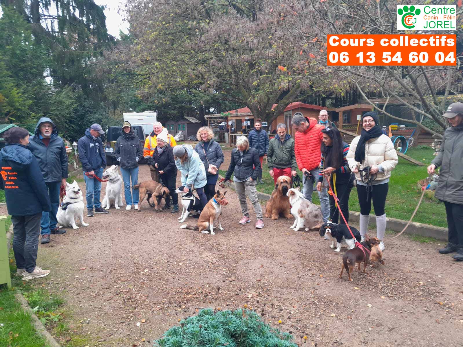cours collectifs chien 78 yvelines