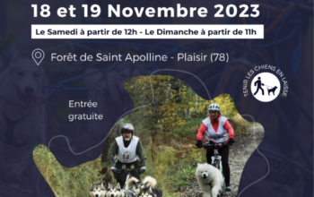 La course verte de Sainte Apolline (78) 18 et 19 novembre 2023