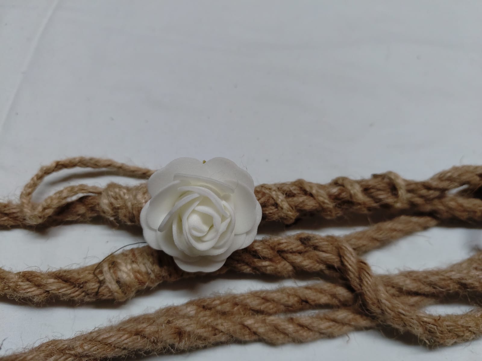 longe 2m decoree rose