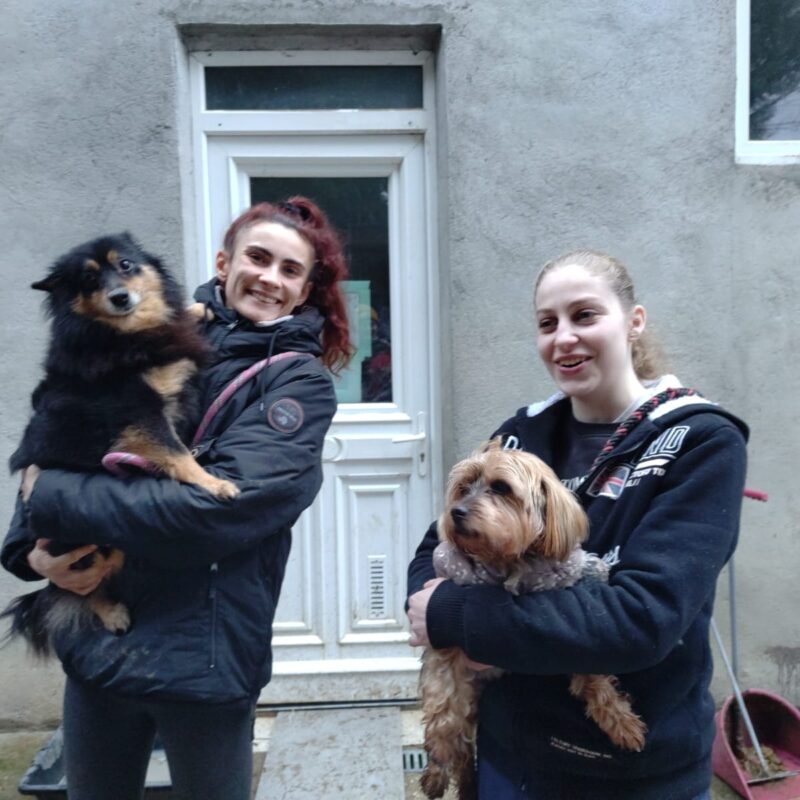 227972e9 c07f 43ce b8ad ec8cef26d2c3