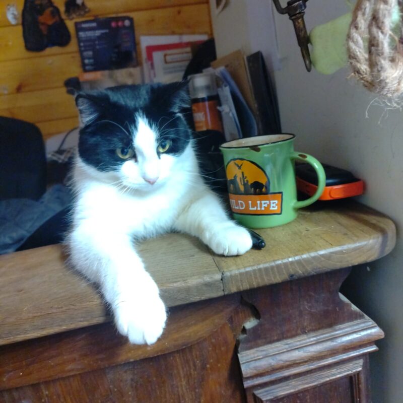 3512338e 459c 4b0f 88d2 314c5c29be5a