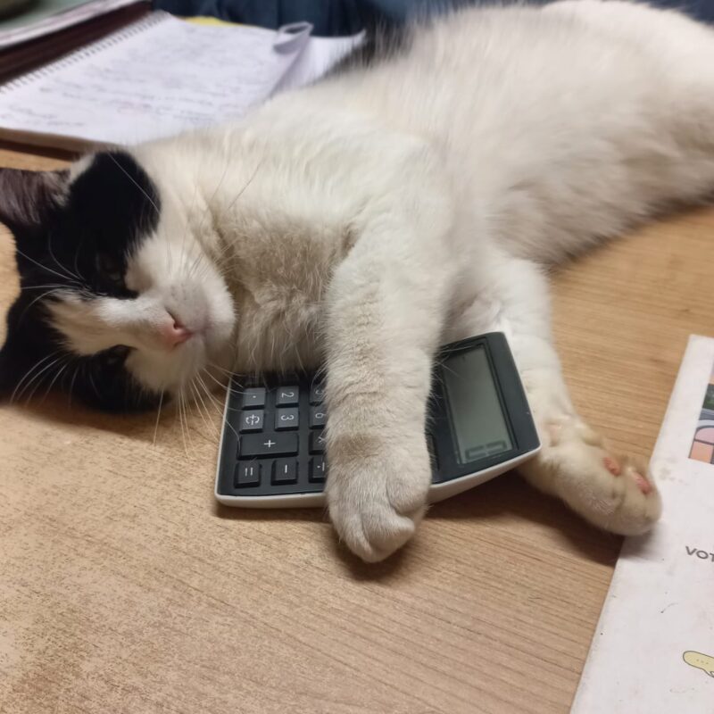 3f02a302 5e73 4f1b 8833 dc3b6456cf98