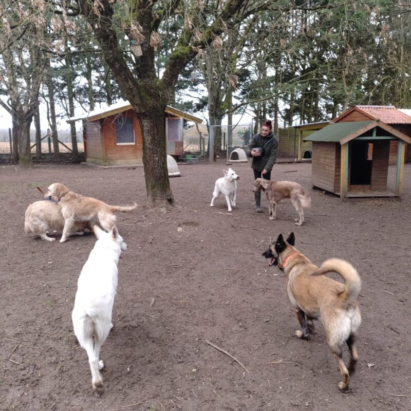 a7d0ac59 8753 4d82 925b bfdc2740c152