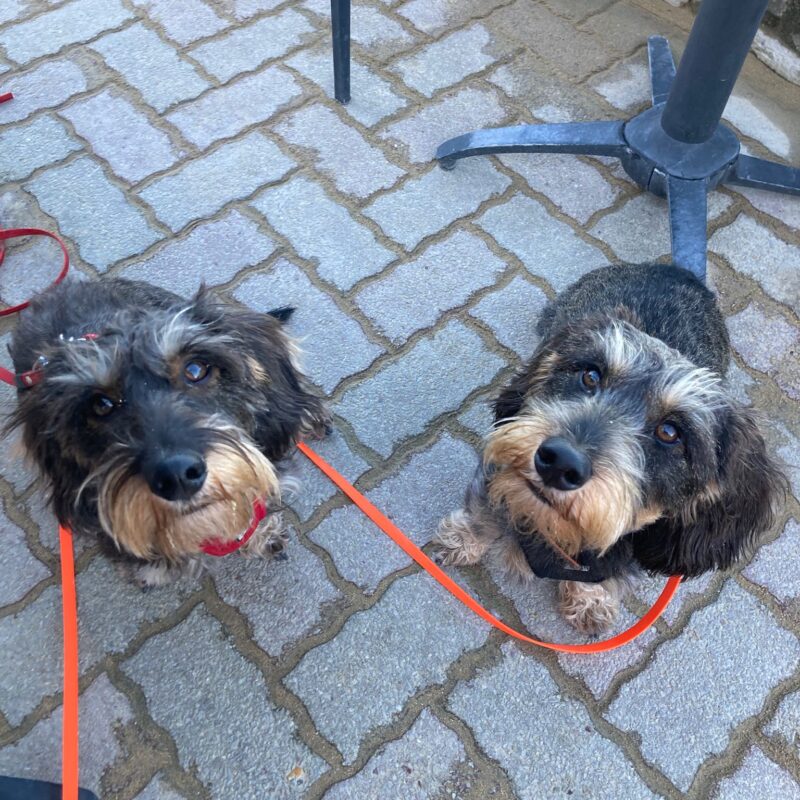 c9c602c1 ef32 40b0 984f 6f0207d9a3fe