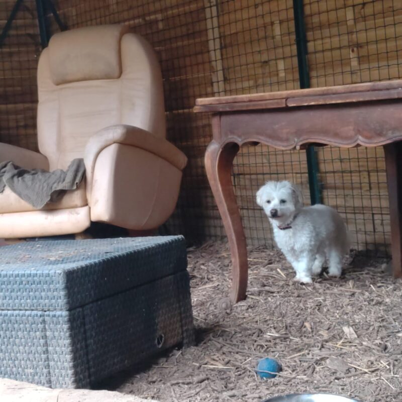 eb619221 5dc5 4eb7 b8ac f9c4b9a70b7a