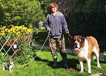 pension chien yvelines 78