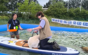 Animation canine Canidays Verneuil-sur-Seine – Paddle, agility, loisir