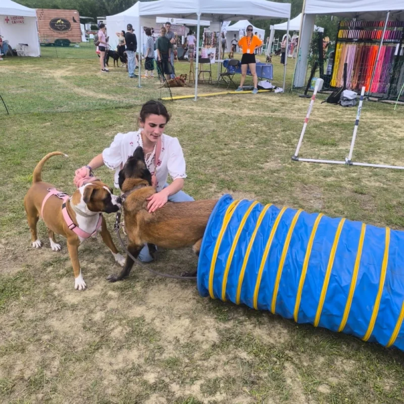 Animation canine Canidays Verneuil Verneuil-sur-Seine 78480 - finitions