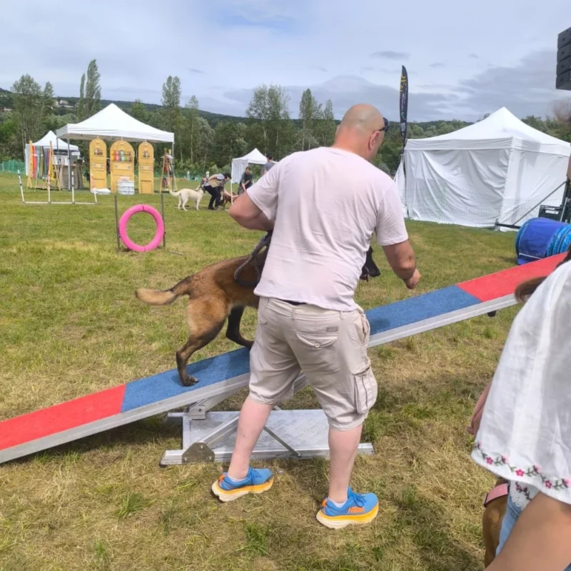 Animation canine Canidays Verneuil a Verneuil-sur-Seine 78480 - realisation
