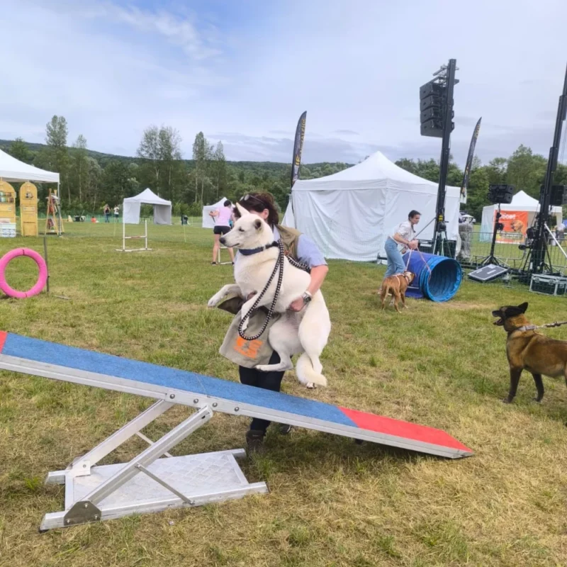 Animation canine Canidays Verneuil Verneuil-sur-Seine 78480 - resultat final