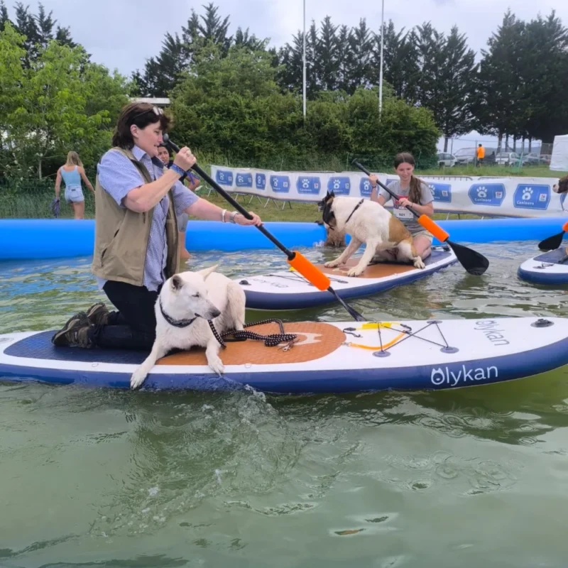 Animation canine Canidays Verneuil Verneuil-sur-Seine 78480 - photo 7