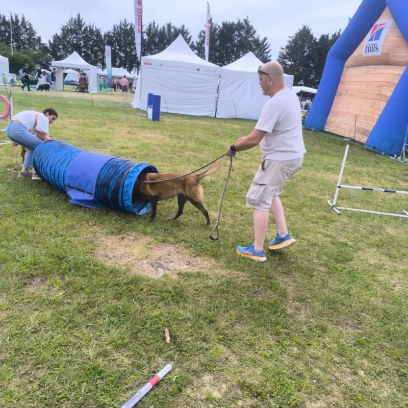 Animation canine Canidays Verneuil Verneuil-sur-Seine 78480 - photo 8