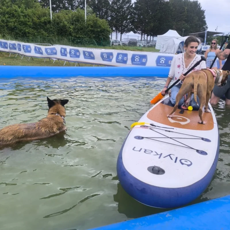 Animation canine Canidays Verneuil Verneuil-sur-Seine 78480 - photo 9