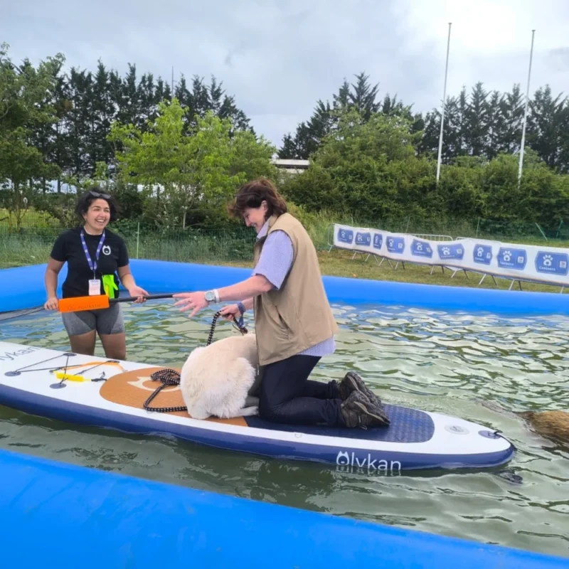Animation canine Canidays Verneuil Verneuil-sur-Seine 78480 - photo 11