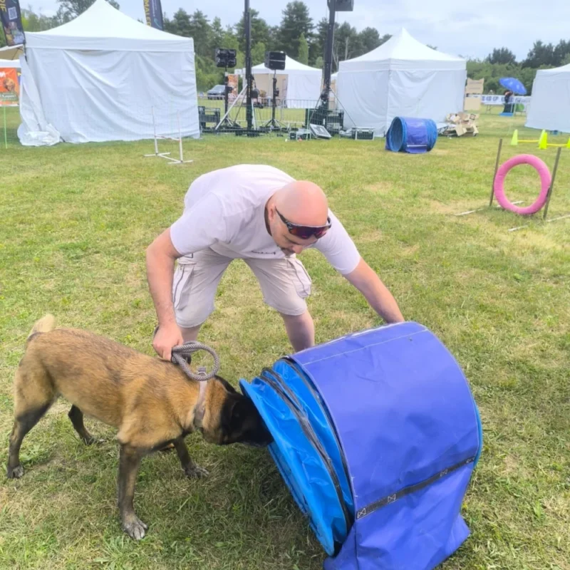 Animation canine Canidays Verneuil Verneuil-sur-Seine 78480 - photo 12