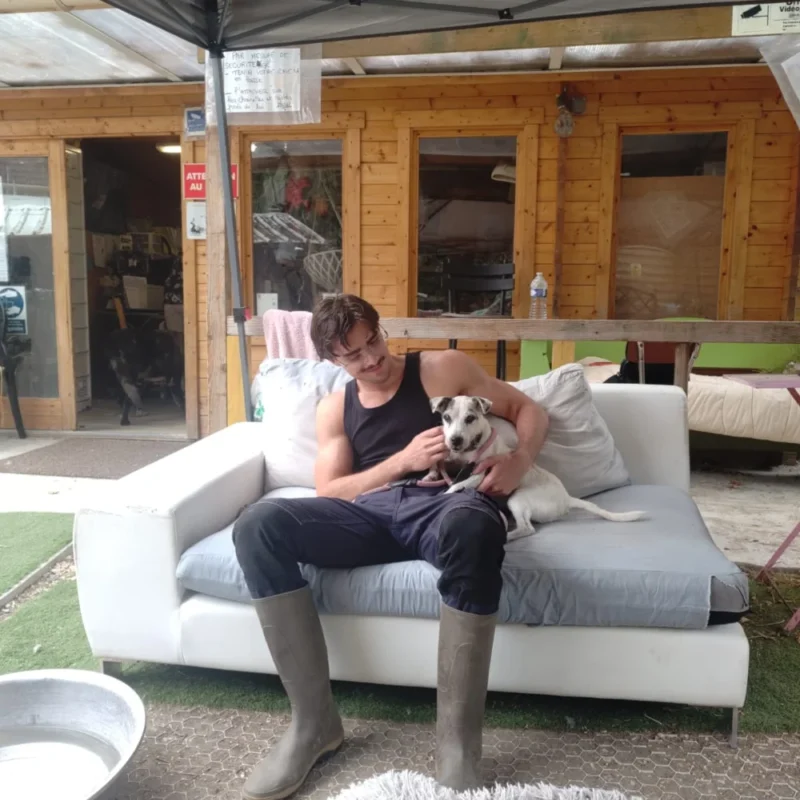 Fait un article juste pour illustrer une galerie photo de chiens et ch Oinville-sur-Montcient 78250 - finitions